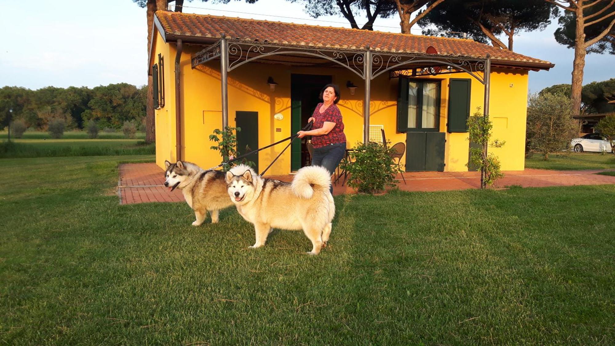 La Fattoria Di Tirrenia 아파트 호텔 외부 사진