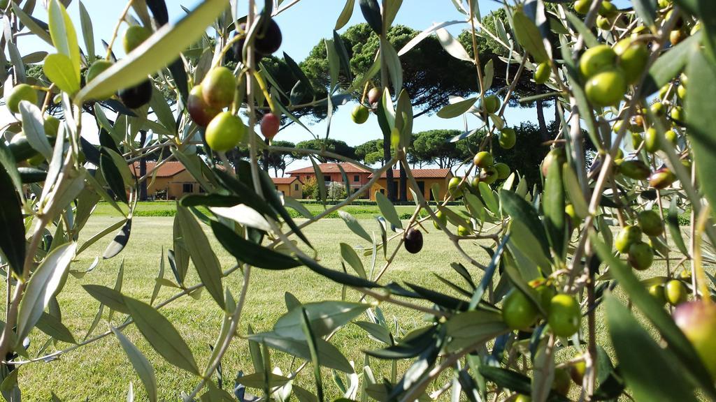 La Fattoria Di Tirrenia 아파트 호텔 외부 사진