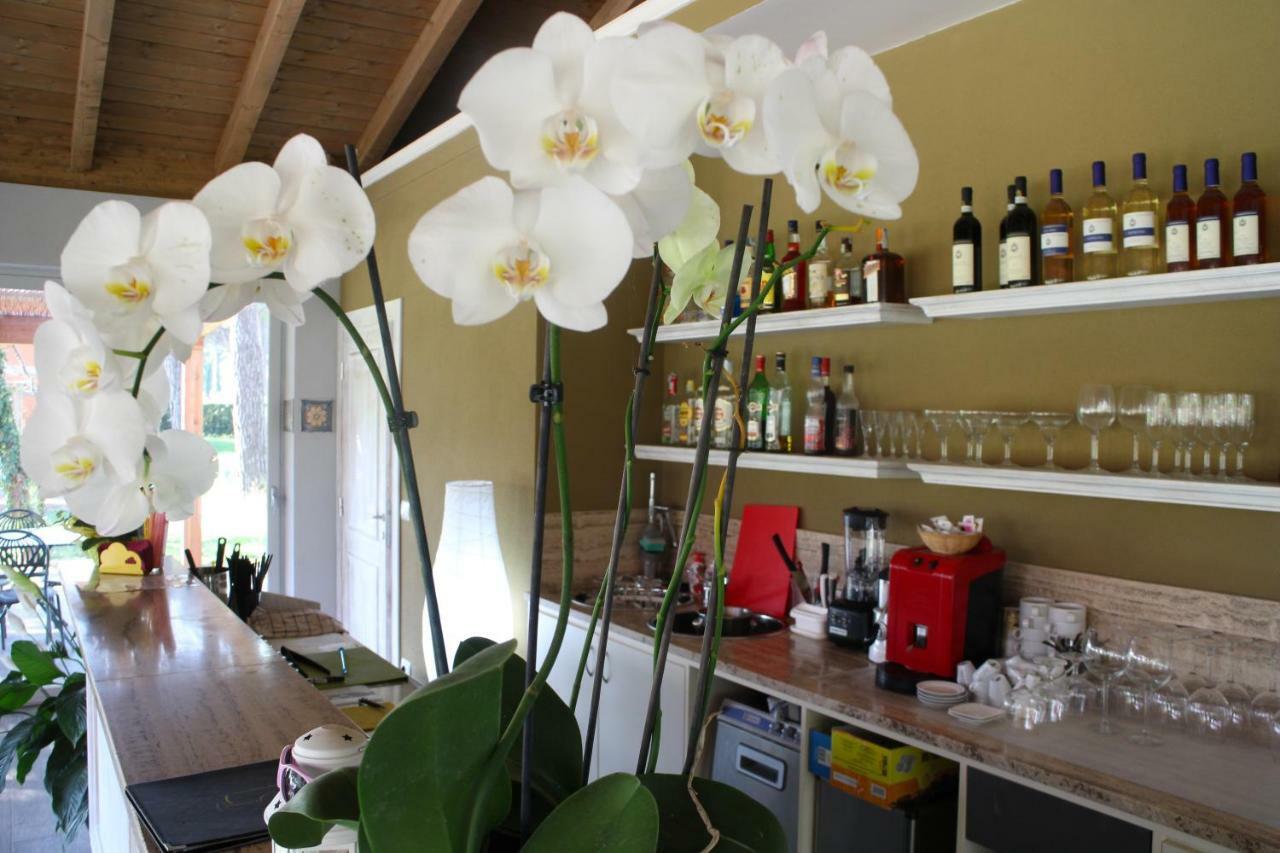 La Fattoria Di Tirrenia 아파트 호텔 외부 사진